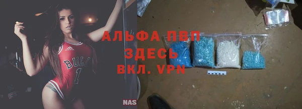 крисы Алексин