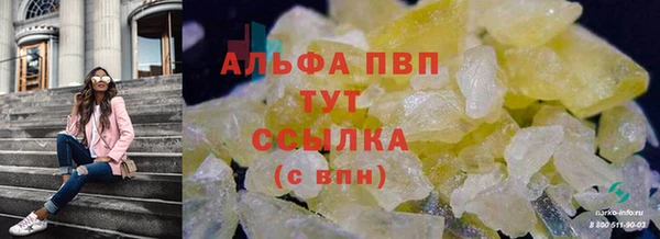 крисы Алексин
